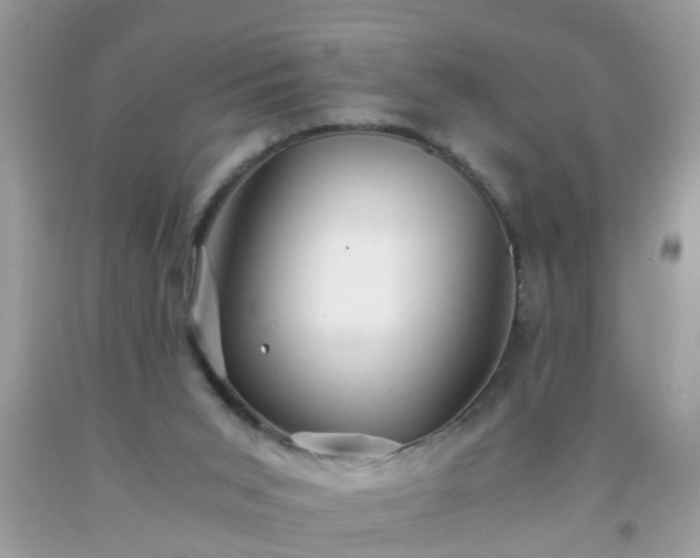 X0000093750015200710231241