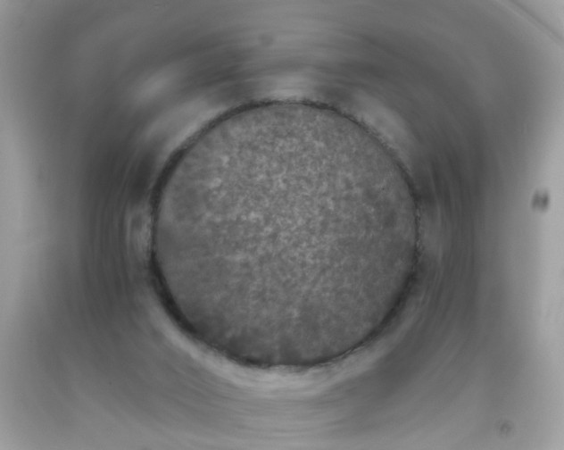 X0000093750016200710231241