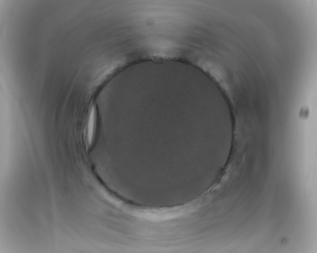 X0000093750017200710231241