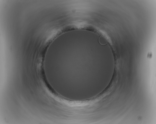 X0000093750018200710231241