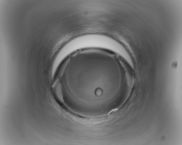 X0000093750019200710231241
