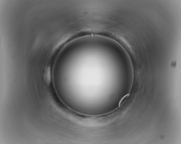 X0000093750020200710231241