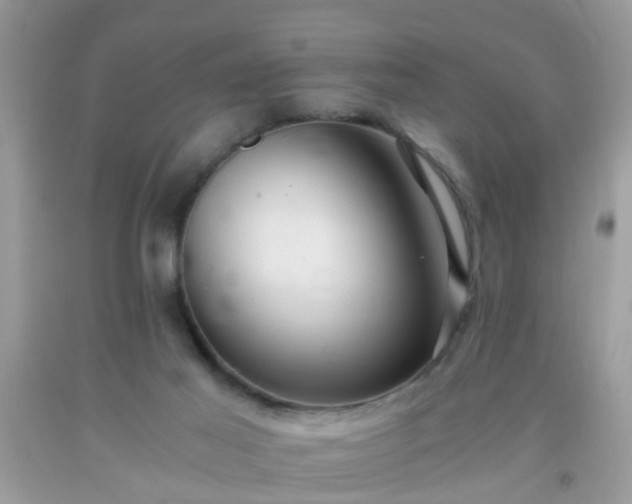 X0000093750021200710231241