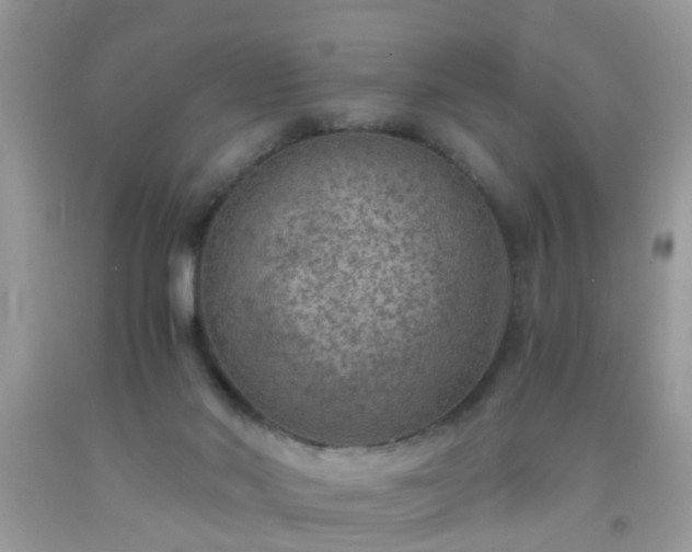 X0000093750022200710231241