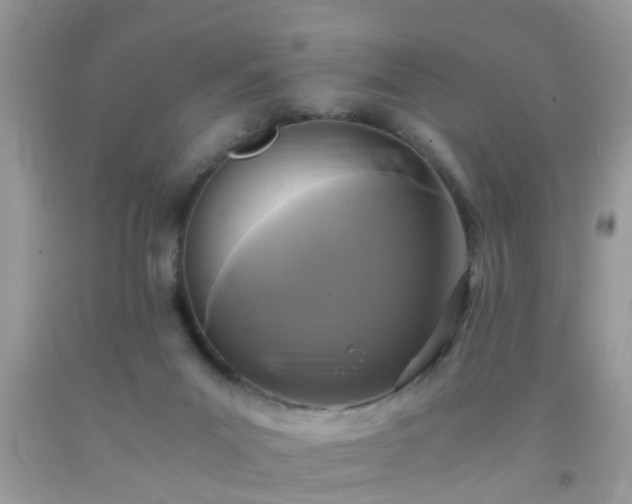 X0000093750023200710231241