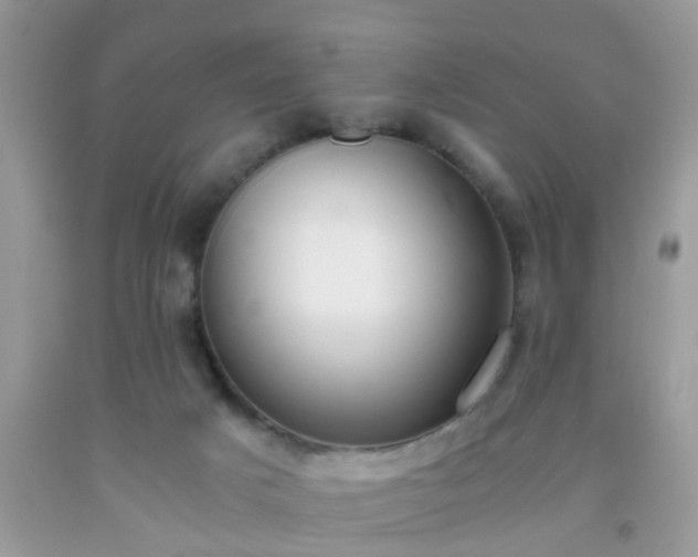 X0000093750025200710231241