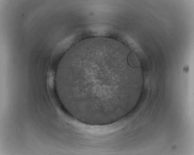 X0000093750026200710231241