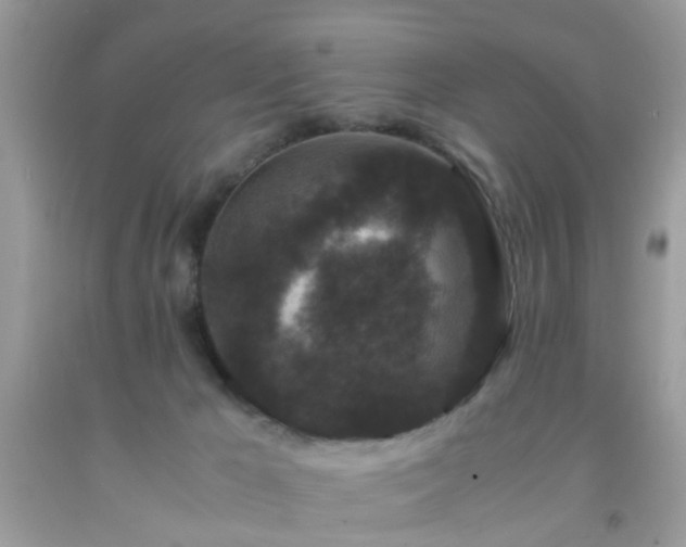 X0000093750029200710231241