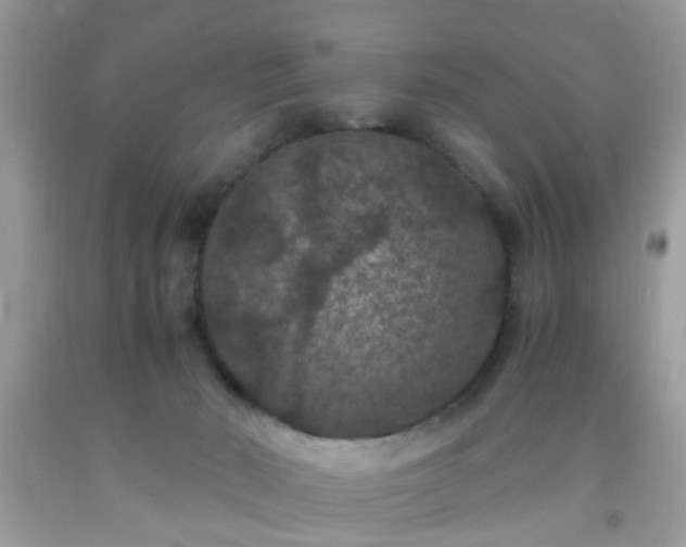 X0000093750030200710231241