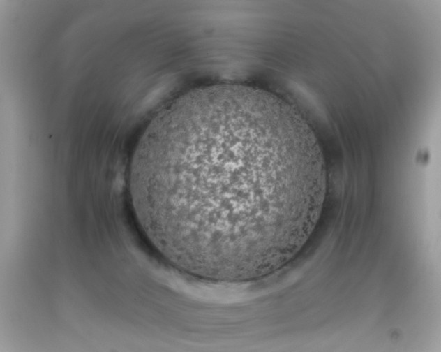X0000093750032200710231241