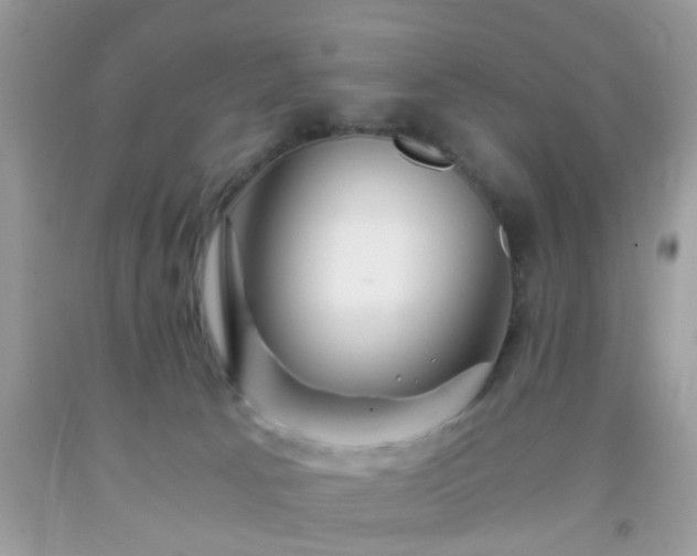 X0000093750033200710231241