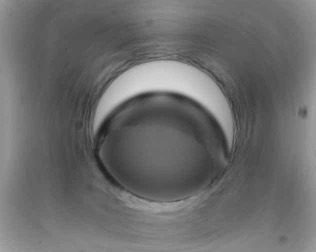 X0000093750035200710231241
