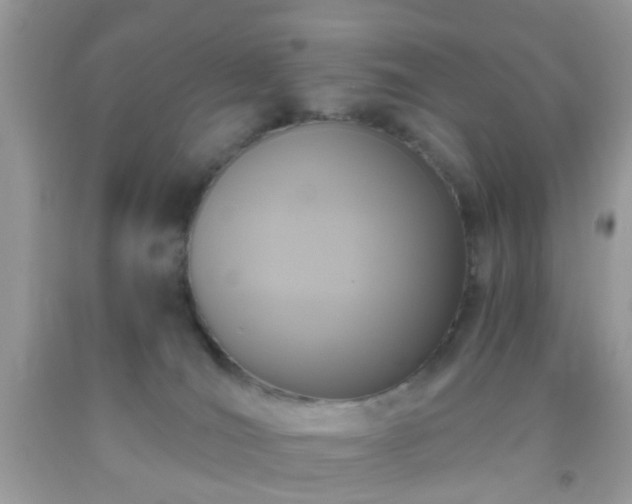 X0000093750036200710231241