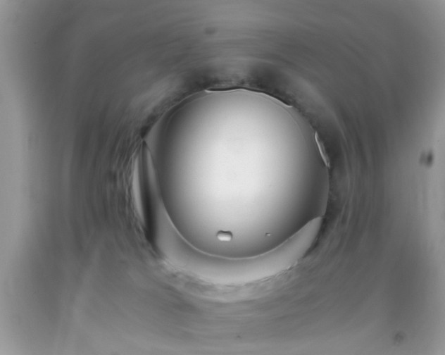 X0000093750037200710231241