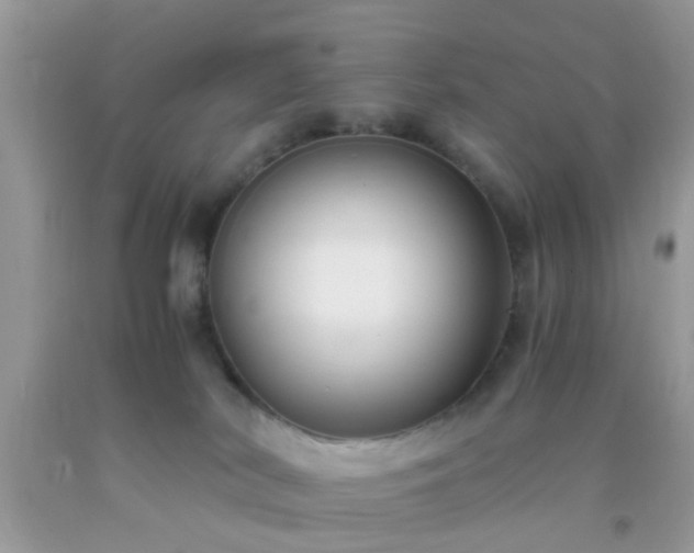 X0000093750038200710231241