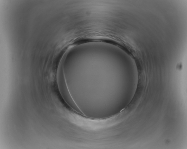 X0000093750039200710231241