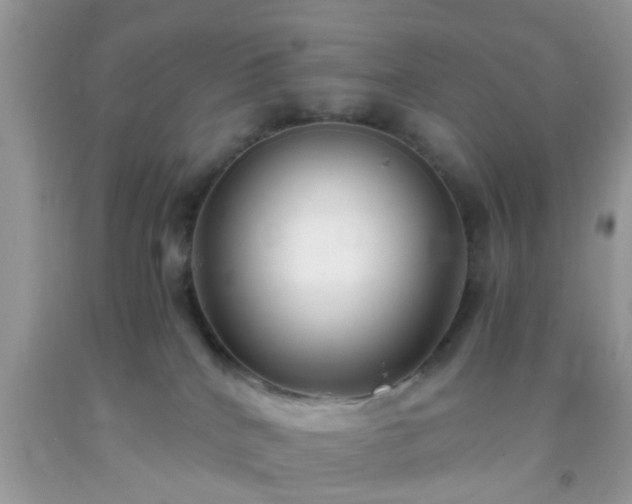 X0000093750040200710231241