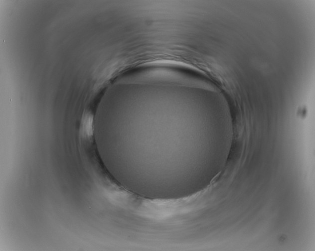 X0000093750041200710231241