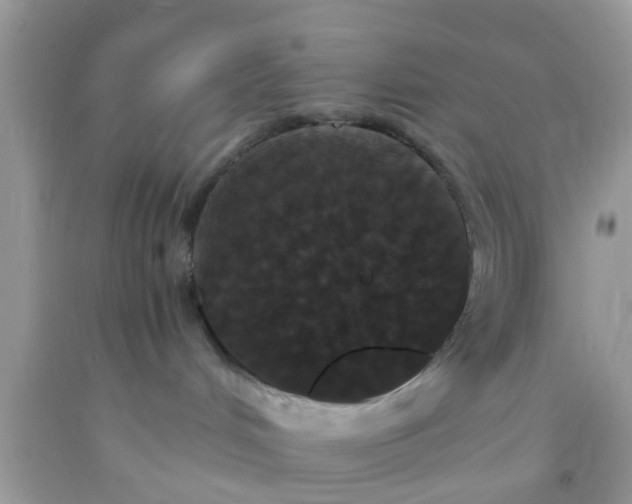 X0000093750048200710231241