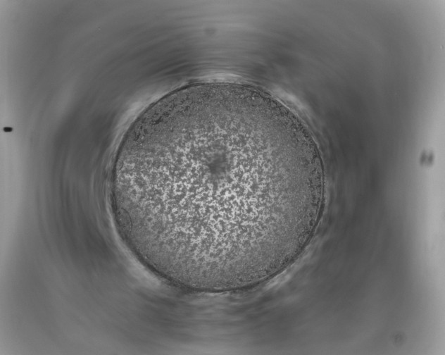 X0000093750049200710231240