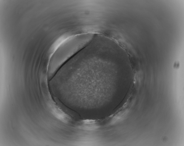 X0000093750052200710231240