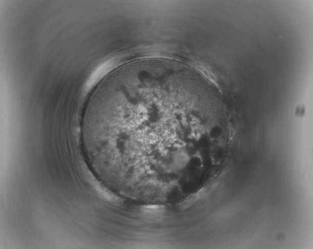 X0000093750053200710231240