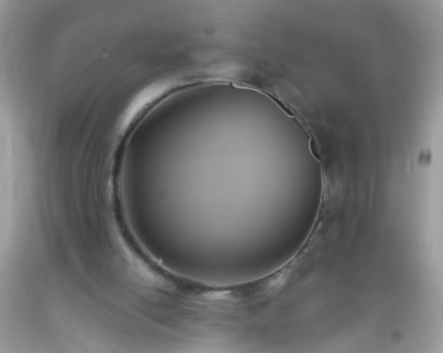 X0000093750054200710231240