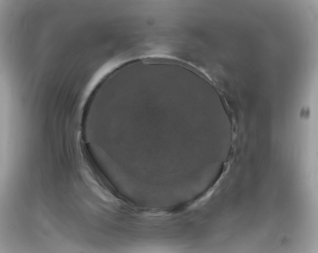 X0000093750056200710231240