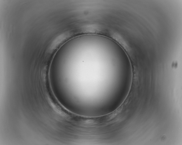 X0000093750058200710231241