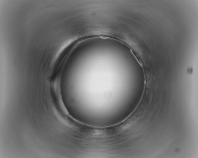 X0000093750060200710231241