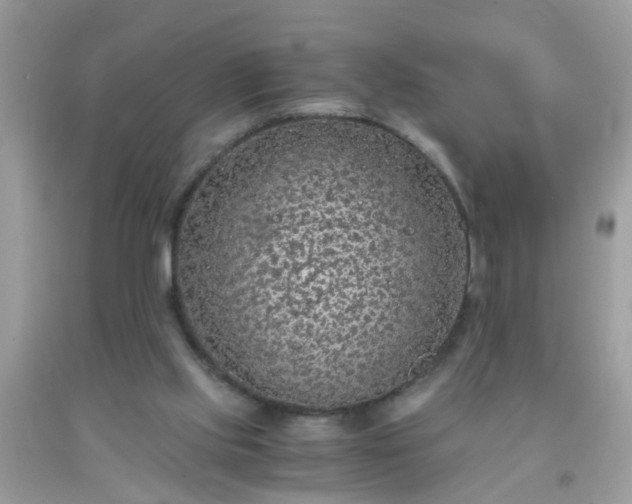 X0000093750061200710231241
