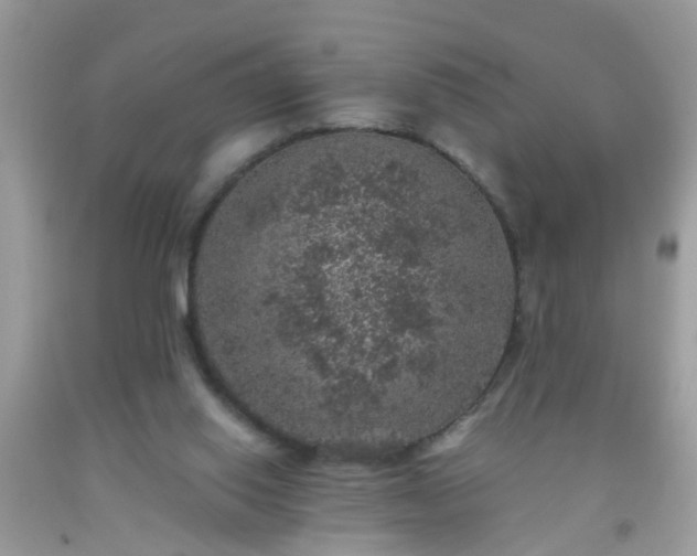 X0000093750062200710231241