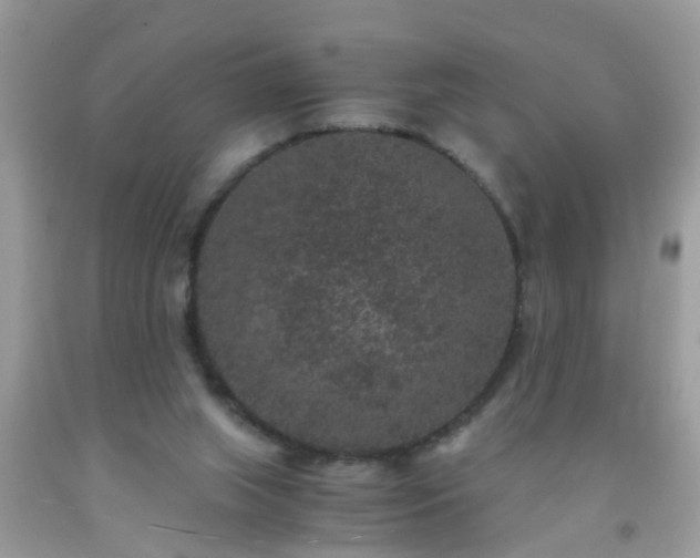 X0000093750063200710231241