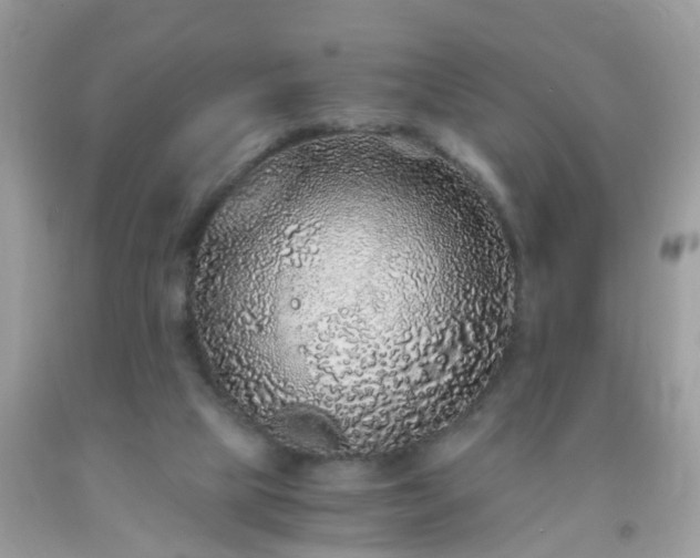 X0000093750065200710231241