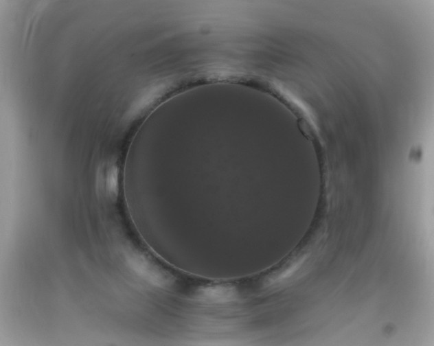 X0000093750067200710231241