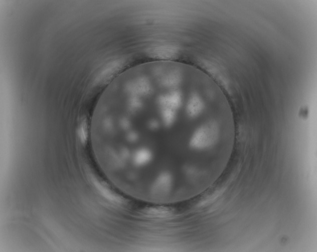 X0000093750069200710231241