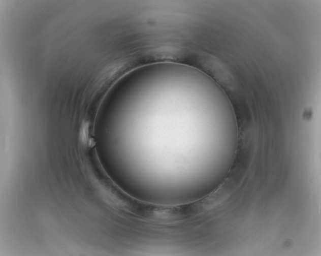 X0000093750070200710231241