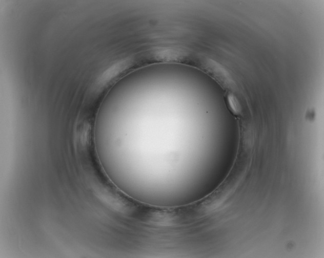 X0000093750071200710231241