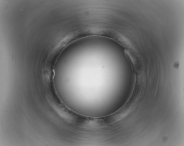 X0000093750072200710231241