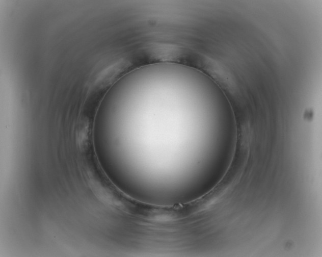 X0000093750073200710231241