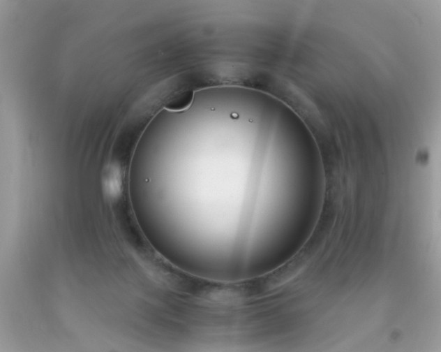X0000093750075200710231241