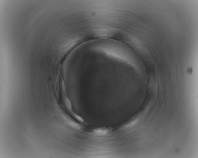 X0000093750076200710231241