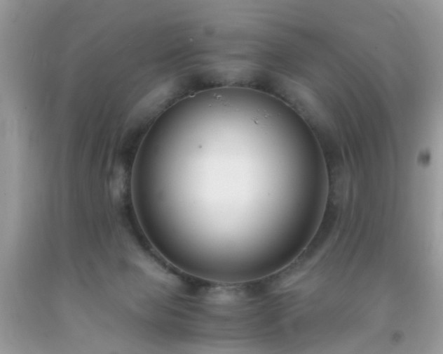 X0000093750077200710231241