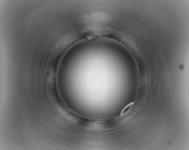 X0000093750078200710231241