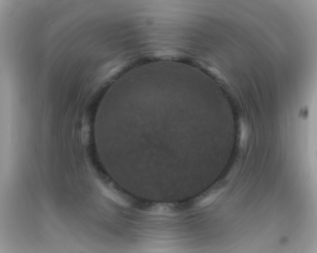 X0000093750080200710231241
