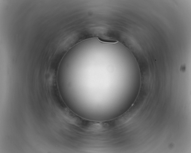 X0000093750083200710231241