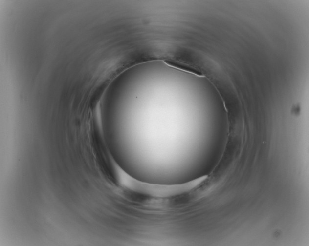 X0000093750084200710231241
