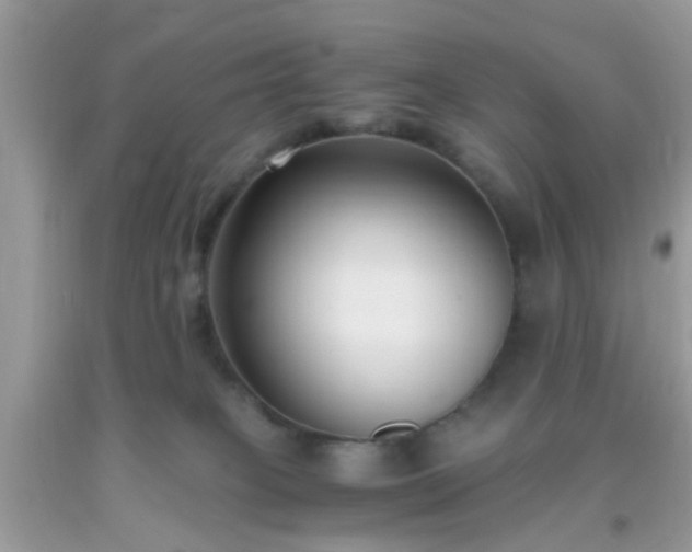 X0000093750085200710231241