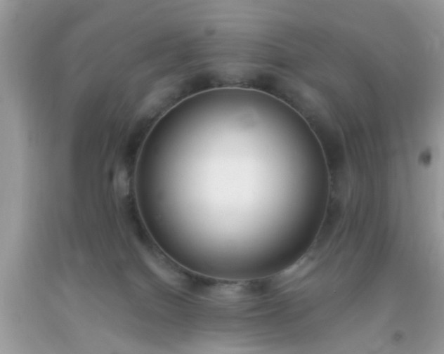 X0000093750086200710231241