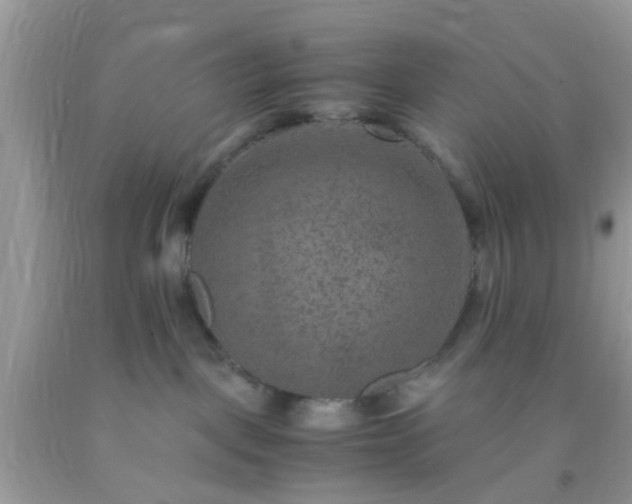 X0000093750093200710231241